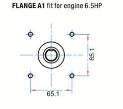 Canpump CF 3030 G: 3000 psi @ 3.1 US gpm, 3/4-in Shaft Pressure Washer Pump