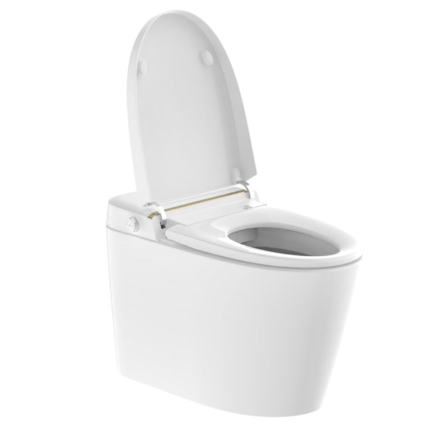 Smart Toilet with Control Heated,Adjustable Washing Settings,Air Dryer,LED-light, One Piece Toilet with Bidet, Oscilatingspray, Power Failure Flushing