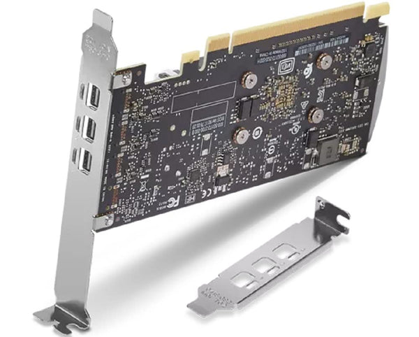 Lenovo NVIDIA T400 Graphic Card - 4 GB GDDR6