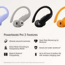 Beats Powerbeats Pro 2 Wireless Bluetooth Earbuds with USB-C Charge Cable (1m)