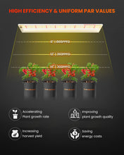 Spider Farmer 2025 New SF600 LED Grow Lights 2x4 ft Coverage Sunlike Full Spectrum Plant Growing Lamp for Indoor Plants Seeding Veg Flower Energy Saving & High Efficiency Grow Light 384 Diodes