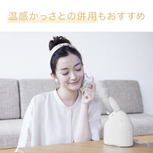 Panasonic EH-SA3C-N [Steamer Nanocare Compact Type Gold Style] Facial Steamer 100V Shipped from Japan