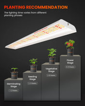 Spider Farmer 2025 New SF600 LED Grow Lights 2x4 ft Coverage Sunlike Full Spectrum Plant Growing Lamp for Indoor Plants Seeding Veg Flower Energy Saving & High Efficiency Grow Light 384 Diodes