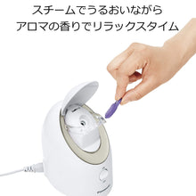 Panasonic Nanocare EH-SA3B-N Steamer Compact Gold