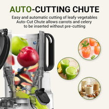 Juicer Machines, AMZCHEF 5.3-Inch Self-Feeding Masticating Juicer Fit Whole Fruits & Vegetables, Cold Press Electric Juicer Machines with High Juice Yield, Easy Cleaning, 250W-Grey