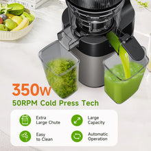 Cold Press Juicer,5.8