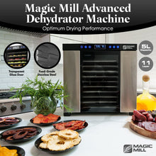 Magic Mill Food Dehydrator Machine | 11 Stainless Steel Trays | Adjustable Timer and Temperature Control | Jerky, Herb, Meat, Beef, Fruits and Vegetables Dryer | Safety Over Heat Protection