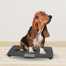 Redmon Precision Digital Pet Scale for Large Animals with Non-Skid Mat, 225lb Capacity