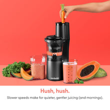 nutribullet Slow Juicer, Slow Masticating Juicer Machine, Easy to Clean, Quiet Motor & Reverse Function, BPA-Free, Cold Press Juicer with Brush, 150 Watts, Charcoal Black, NBJ50300, 24-oz