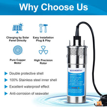 ECO-WORTHY 12V DC Submersible Deep Well Pump, MAX Flow 3.2GPM, Max Head 230ft, Water Pump Powered by Solar or Battery for Well, Livestock Drinking or Tank Filling…