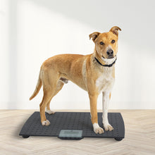 Redmon Precision Digital Pet Scale for Large Animals with Non-Skid Mat, 225lb Capacity