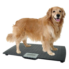 Redmon Precision Digital Pet Scale for Large Animals with Non-Skid Mat, 225lb Capacity