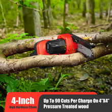 2-in-1 Cordless Pole Saw, Mini Chainsaw with Pole, 20V 2.0Ah Battery Powered Pole Saws for Tree Trimming, 4