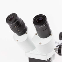 AmScope SE400-Z Professional Binocular Stereo Microscope, WF10x and WF20x Eyepieces, 10X and 20X Magnification, 1X Objective, LED Lighting, Boom-Arm Stand, 110V-120V