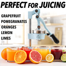 Zulay Kitchen Cast-Iron Orange Juice Squeezer - Heavy-Duty, Easy-to-Clean, Professional Citrus Juicer - Durable Stainless Steel Lemon Squeezer - Sturdy Manual Citrus Press & Orange Squeezer (Blue)