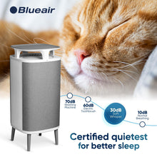 BLUEAIR Air Purifier Large Room, Table Top Air Cleaner for Dust Pet Dander Smoke Mold Pollen Bacteria Virus Allergen, Odor Removal, Home Bedroom Living Room, Alexa, Auto, HEPASilent, DustMagnet 5440i