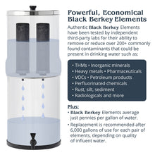 Royal Berkey Gravity-Fed Water Filter System with 2 Black Berkey Elements Plus Deluxe 10