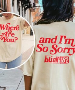 Blink 182 Shirt, Blink 182 Band Tee, Comfort color shirt
